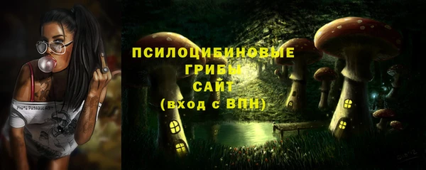 гидра Алексеевка