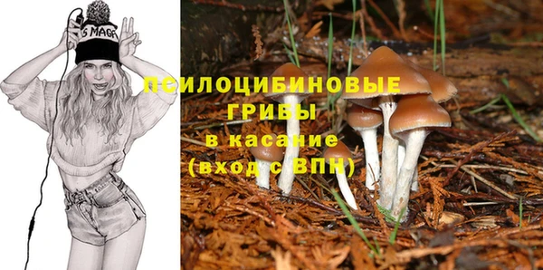 гидра Алексеевка
