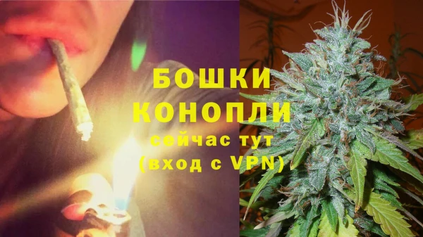 гидра Алексеевка