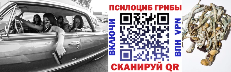 где найти   Долинск  Псилоцибиновые грибы Magic Shrooms 